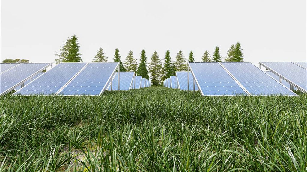 datos energía solar en Europa