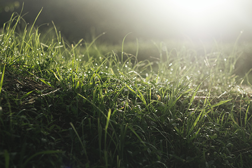 cómo afecta la lluvia a los paneles solares